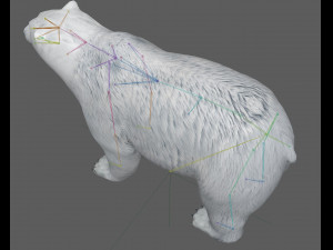 Polar Bear Rig 3D Model