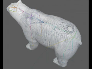 Kutup Ayısı Te&ccedil;hizatı 3D Model