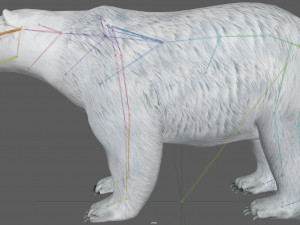 Polar Bear Rig 3D Model