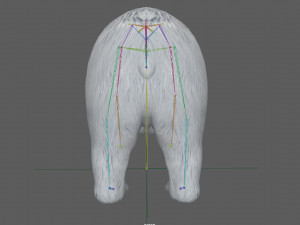 Polar Bear Rig 3D Model