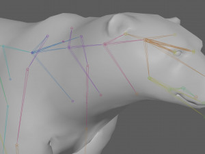 Polar Bear Rig 3D Model