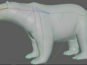Polar Bear Rig 3D Model