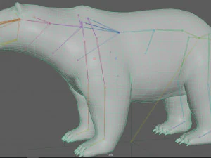 Kutup Ayısı Te&ccedil;hizatı 3D Model