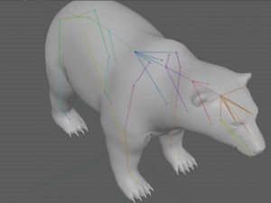 Polar Bear Rig 3D Model