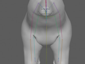 Polar Bear Rig 3D Model