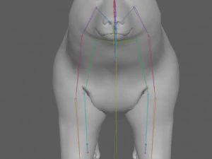 Kutup Ayısı Te&ccedil;hizatı 3D Model