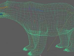 Polar Bear Rig 3D Model