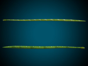 Snake Low poly Rig 3D Модель