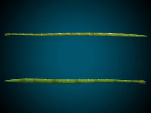 Snake Low poly Rig 3D Model