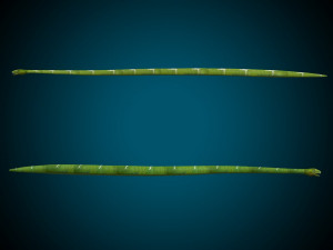 Snake Low poly Rig 3D Модель