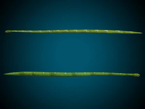 Snake Low poly Rig 3D Model