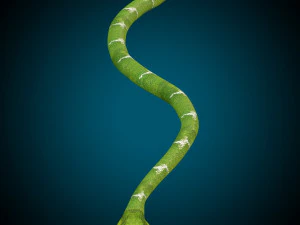 Snake Low poly Rig 3D Model