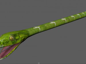 Snake Low poly Rig 3D Model