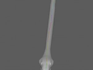 Snake Low poly Rig 3D Model