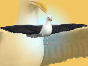 Seagull Rigged 3D Model