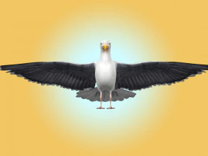 Seagull Rigged 3D Model