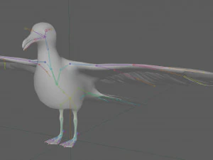 Seagull Rigged 3D Model