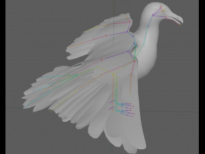 Seagull Rigged Modello 3D
