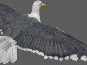 Seagull Rigged Modello 3D