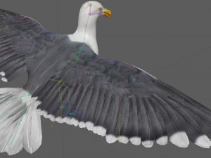 Seagull Rigged 3D Model