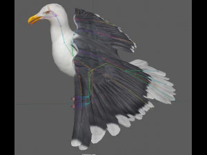 Seagull Rigged 3D Model