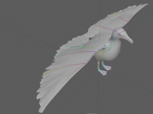 Seagull Rigged Modello 3D
