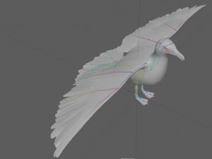 Seagull Rigged 3D Model