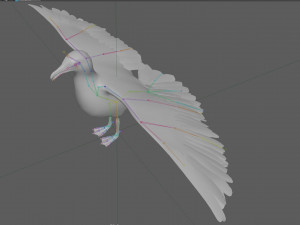 Seagull Rigged Modello 3D