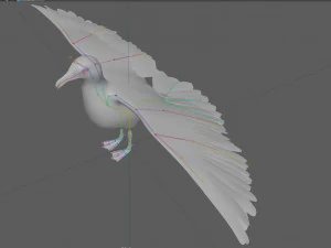 Seagull Rigged 3D Model