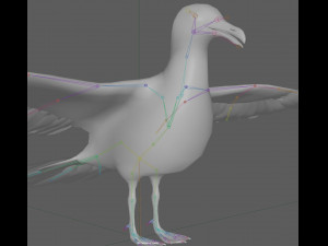 Seagull Rigged Modello 3D