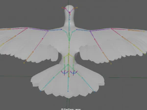 Seagull Rigged 3D Model