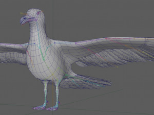 Seagull Rigged Modello 3D