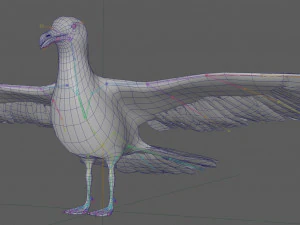 Seagull Rigged 3D Model