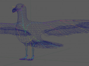 Seagull Rigged Modello 3D