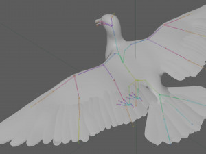 Seagull Rigged Modello 3D