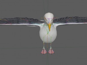 Seagull Rigged Modello 3D