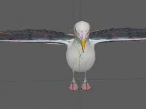 Seagull Rigged 3D Model