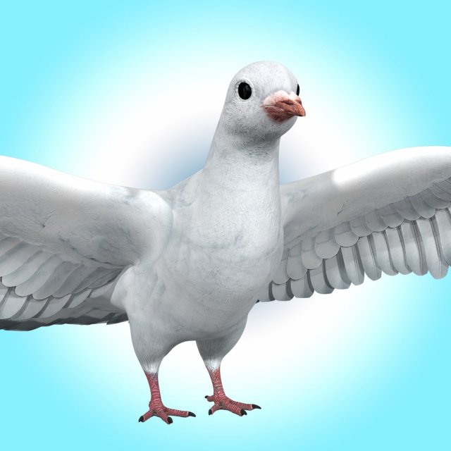 Dove White Pigeon Modelo 3D .c4d .max .obj .3ds .fbx .stl .blend 