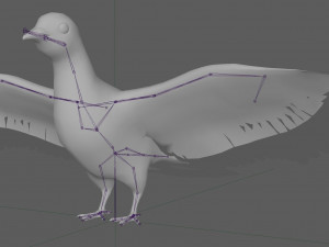 Dove White Pigeon Modelo 3D