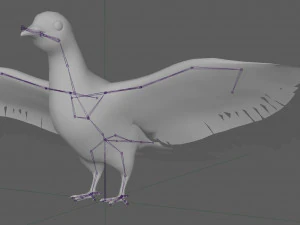 Dove White Pigeon 3D Model