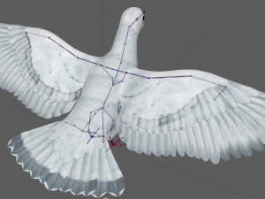 Dove White Pigeon Modelo 3D