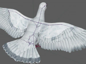Dove White Pigeon 3D Model