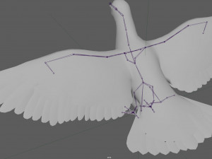 Dove White Pigeon Modelo 3D