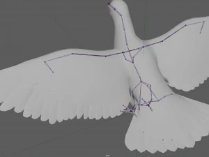 Dove White Pigeon 3D Model
