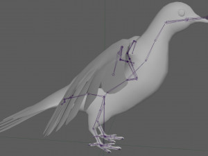 Dove White Pigeon Modelo 3D