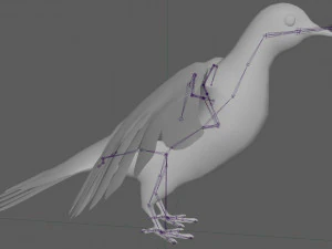 Dove White Pigeon 3D Model