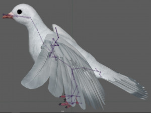 Dove White Pigeon Modelo 3D