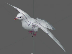 Dove White Pigeon 3D Model