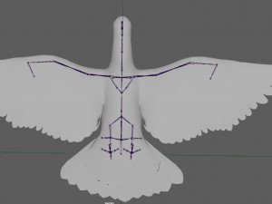 Dove White Pigeon Modelo 3D