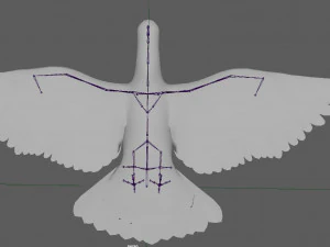 Dove White Pigeon 3D Model